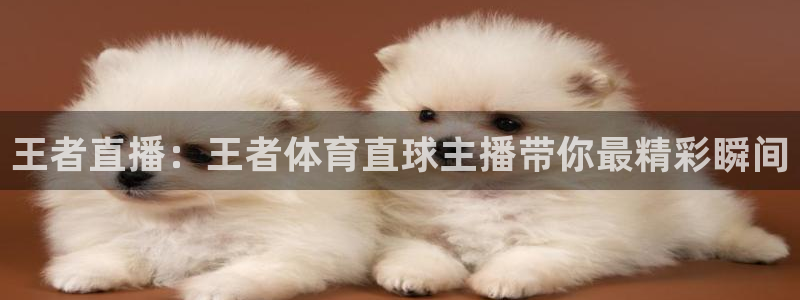 王者直播：王者体育直球主播带你最精彩瞬间