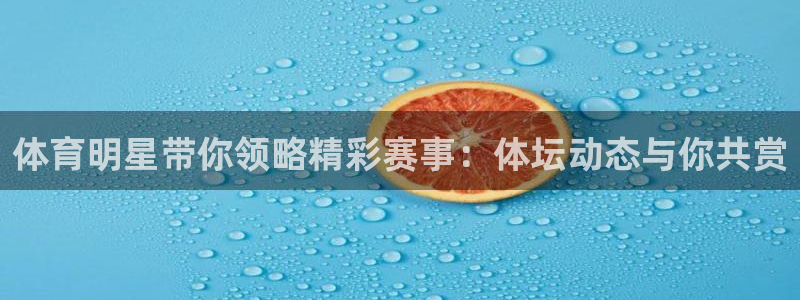 体育明星带你领略精彩赛事：体坛动态与你共赏