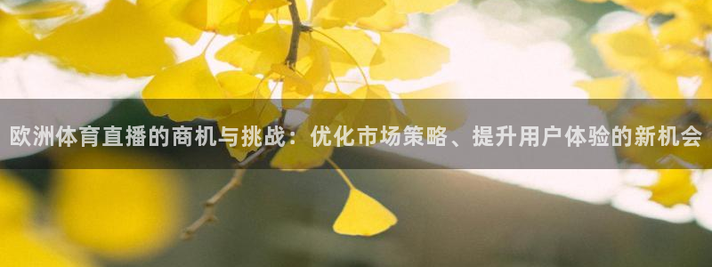 欧洲体育直播的商机与挑战：优化市场策略、提升用户体验的新机会