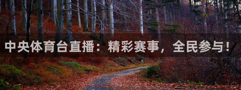 中央体育台直播：精彩赛事，全民参与！