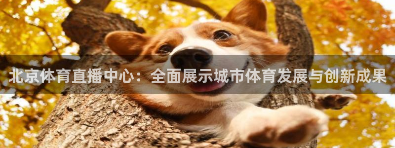 北京体育直播中心：全面展示城市体育发展与创新成果