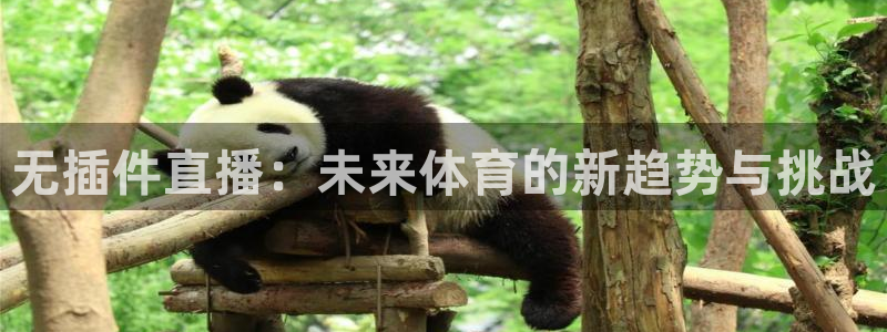 无插件直播：未来体育的新趋势与挑战