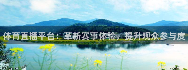 体育直播平台：革新赛事体验，提升观众参与度