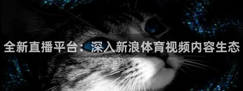 全新直播平台：深入新浪体育视频内容生态