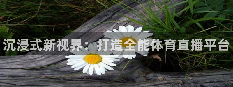 沉浸式新视界：打造全能体育直播平台
