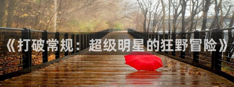 《打破常规：超级明星的狂野冒险》