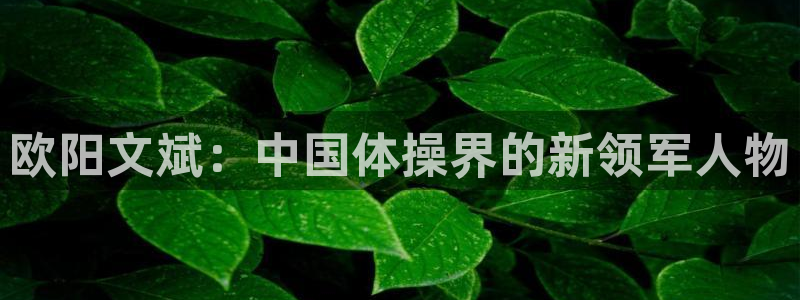 欧阳文斌：中国体操界的新领军人物