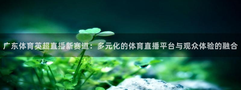 广东体育英超直播新赛道：多元化的体育直播平台与观众体验的融合