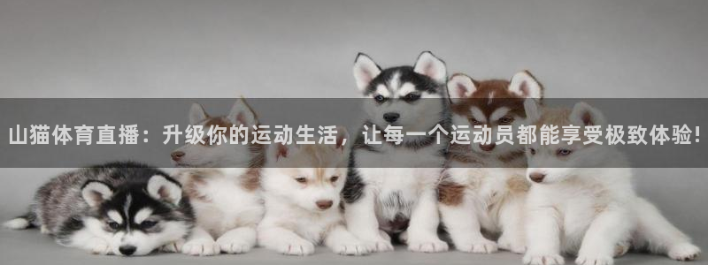 山猫体育直播：升级你的运动生活，让每一个运动员都能享受极致体验!